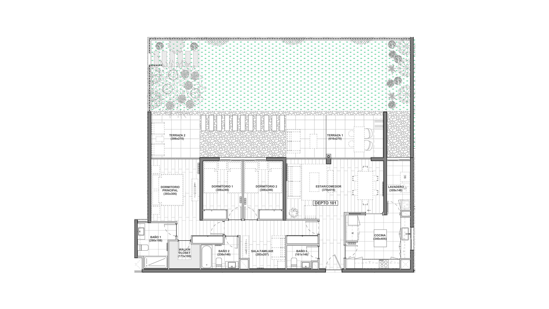 Imagen planta