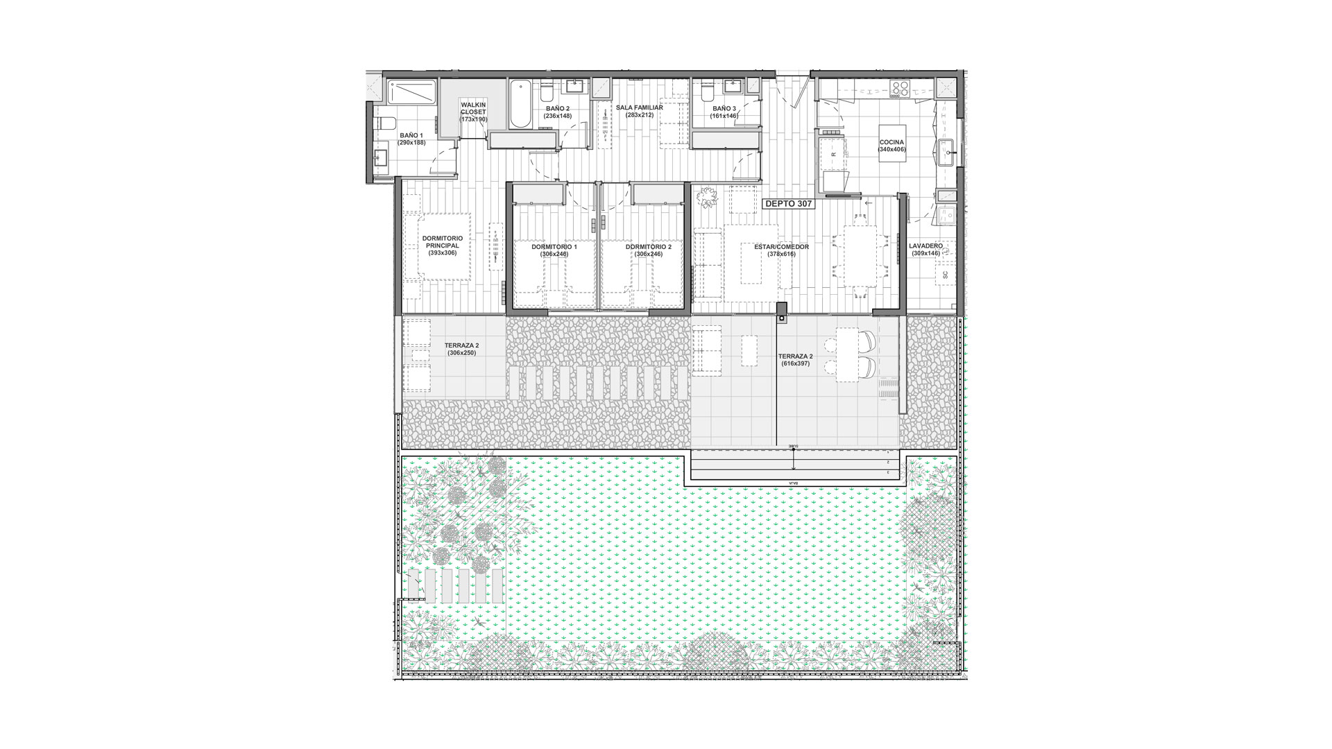 Imagen planta