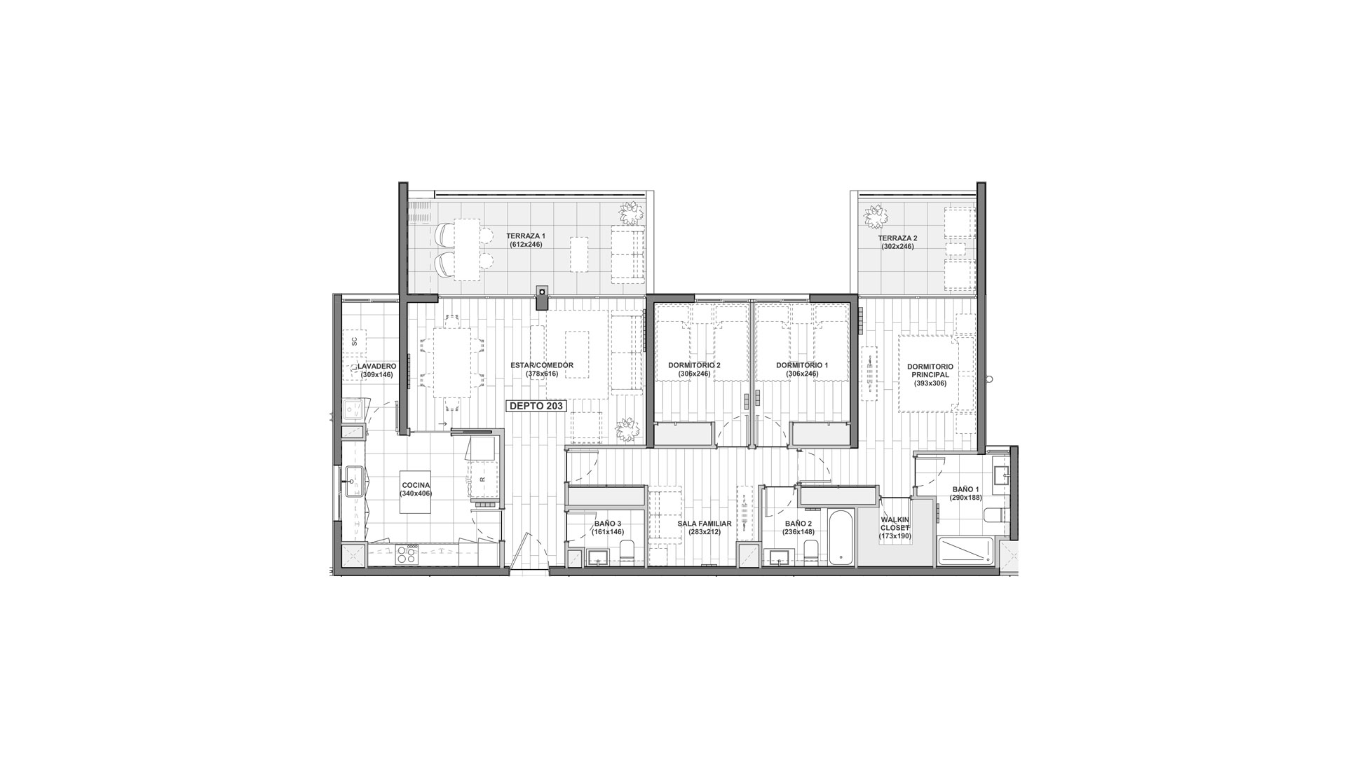 Imagen planta