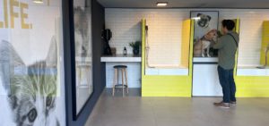 Proyectos pet friendly: espacios pensados para disfrutar la vida junto a quienes más amas